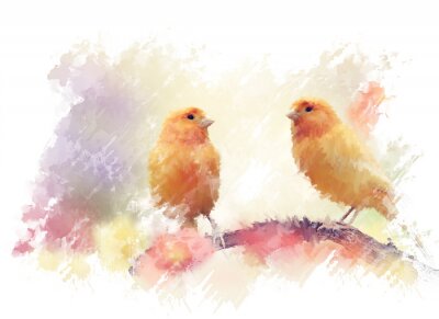 Papier peint  Oiseaux orange version aquarelle