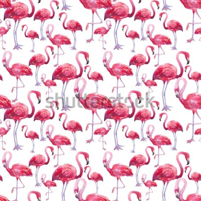 Papier peint  Oiseaux roses sur fond blanc