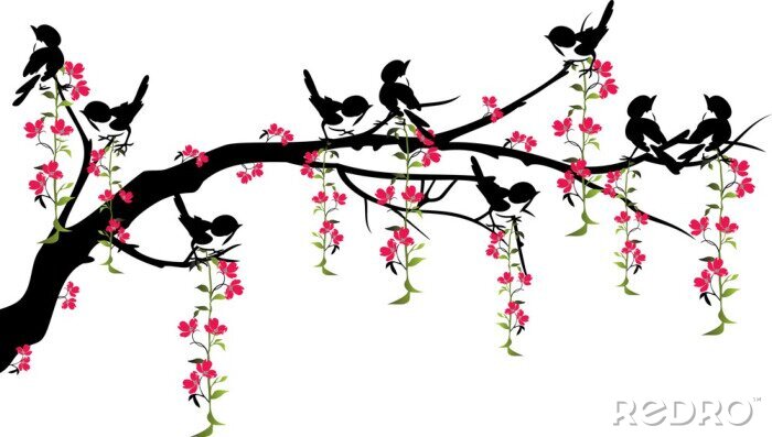 Papier peint  Oiseaux sur des branches au printemps