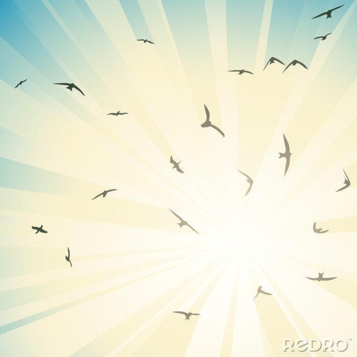 Papier peint  Oiseaux sur fond de ciel ensoleillé