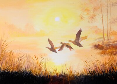 Papier peint  Oiseaux sur fond de coucher de soleil