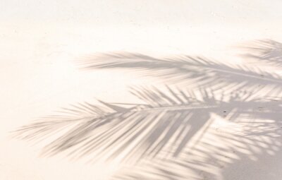 Papier peint  Ombre de palmes sur plage de sable doré