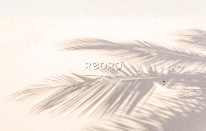 Papier peint  Ombre de palmes sur plage de sable doré