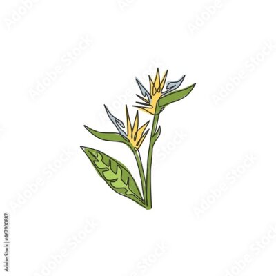 Papier peint  One continuous line drawing beauty fresh strelitzia for home art wall decor poster print. Decorative bird of paradise flower concept for green park. Modern single line draw design vector illustration