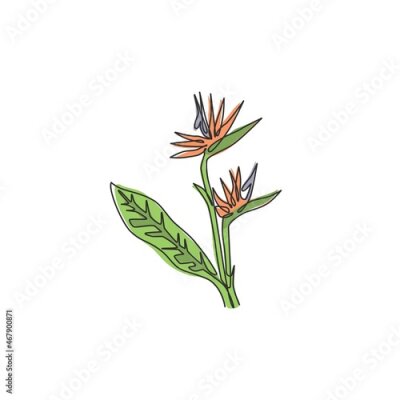 Papier peint  One continuous line drawing beauty fresh strelitzia for home art wall decor poster print. Decorative bird of paradise flower concept for green park. Modern single line draw design vector illustration
