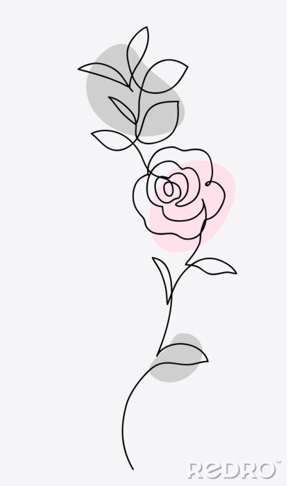 Papier peint  One line drawing. Ornament with garden rose and leaves. Hand drawn sketch. Vector illustration.