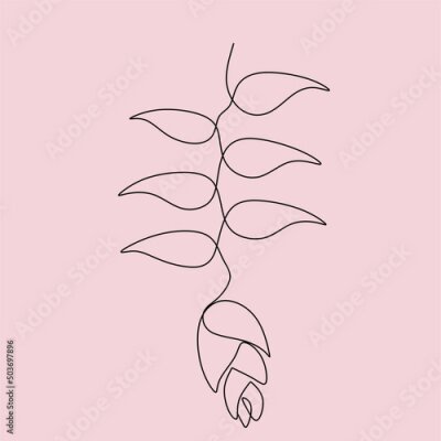 Papier peint  One line drawing set of vector tropical flowers. Botanical poster. Modern single line art, aesthetic outline. Continuous line drawing strelitzia, plumeria, heliconia palm tree and monstera