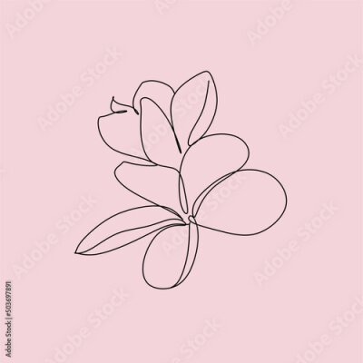 Papier peint  One line drawing set of vector tropical flowers. Botanical poster. Modern single line art, aesthetic outline. Continuous line drawing strelitzia, plumeria, heliconia palm tree and monstera