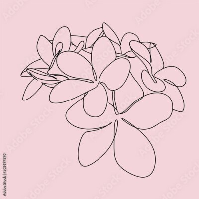 Papier peint  One line drawing set of vector tropical flowers. Botanical poster. Modern single line art, aesthetic outline. Continuous line drawing strelitzia, plumeria, heliconia palm tree and monstera