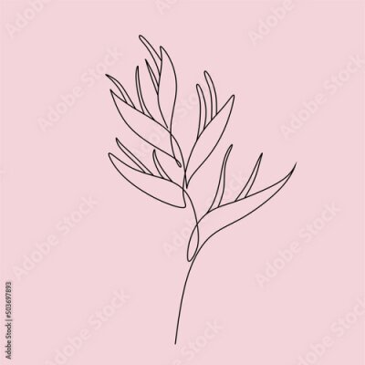 Papier peint  One line drawing set of vector tropical flowers. Botanical poster. Modern single line art, aesthetic outline. Continuous line drawing strelitzia, plumeria, heliconia palm tree and monstera