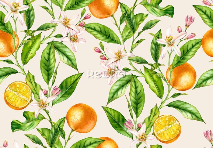 Papier peint  Orange en fleurs et en fruits
