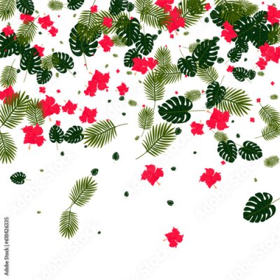 Papier peint  Orange Flower Background White Vector. Strelitzia Stylish Illustration. Red Palm. Island Pattern. Pink Bright Card.