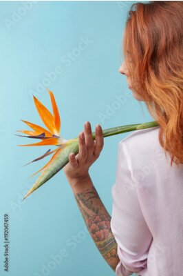 Papier peint  orange flower strelitzia in the hand of the girl