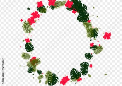 Papier peint  Orange Hibiscus Background Transparent Vector. Leaf Style Pattern. Red Strelitzia. Branch Card. Light Green Color Backdrop.