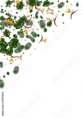 Papier peint  Orange Hibiscus Background White Vector. Leaf Spring Pattern. Pink Strelitzia. Graphic Backdrop. Yellow Modern Frame.