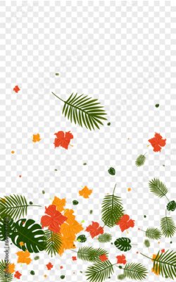 Papier peint  Orange Leaf Background Transparent Vector. Strelitzia Paradise Design. Red Flower. Color Frame. Yellow Forest Card.