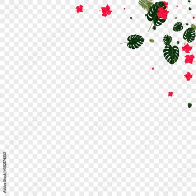 Papier peint  Orange Monstera Background Transparent Vector. Strelitzia Realistic Pattern. Pink Palm. Surf Card. Green Fashion Frame.