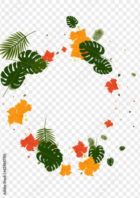 Papier peint  Orange Philodendron Background Transparent Vector. Flora Rainforest Illustration. Pink Strelitzia. Nature Backdrop. Light Green Botany Pattern.