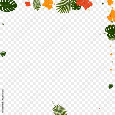 Papier peint  Orange Philodendron Background Transparent Vector. Palm Jungle Card. Light Green Strelitzia. Beach Pattern. Red Decoration Texture.