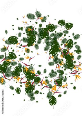 Papier peint  Orange Philodendron Background White Vector. Leaf Miami Texture. Red Strelitzia. Spring Pattern. Light Green Tropical Design.