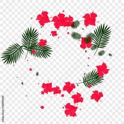 Papier peint  Orange Strelitzia Background Transparent Vector. Leaves Vivid Frame. Yellow Flora. Ornament Card. Light Green Abstract Texture.