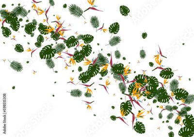 Papier peint  Orange Strelitzia Background White Vector. Tree Branch Frame. Light Green Philodendron. Print Design. Yellow Tribal Card.