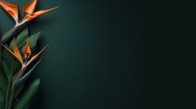 Papier peint  orange strelitzia Bird of Paradise plant flower on dark green minimal background with copy space right