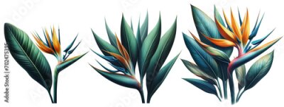 Papier peint  Orange Strelitzia reginae. Red Heliconia bihai. Floral botanical flower. Wild leaf wildflower isolated. Exotic tropical hawaiian jungle. Isolated illustration element.