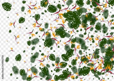 Papier peint  Orange Tree Background Transparent Vector. Strelitzia Stylish Illustration. Green Plant. Culture Pattern. Pink Wrapping Backdrop.