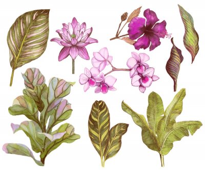 Orchidee en exotische bladeren