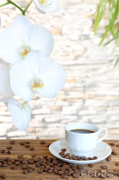 Papier peint  Orchidée et tasse de café