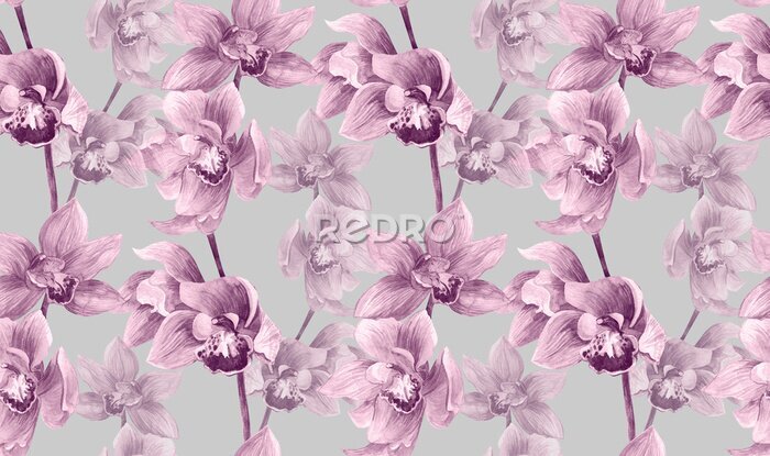 Papier peint  Orchidée rose romantique