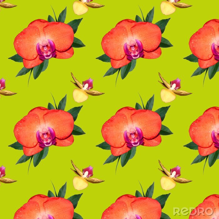 Papier peint  Orchidée sur fond vert