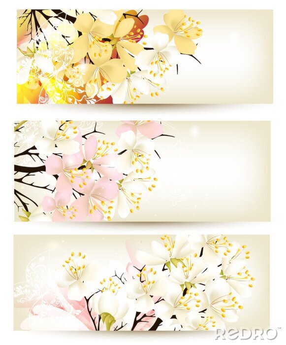 Papier peint  Orchidées colorées en trois séquences