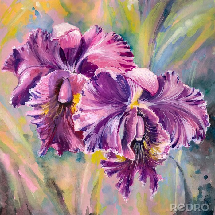 Papier peint  Orchidées mauves peintes à l'aquarelle