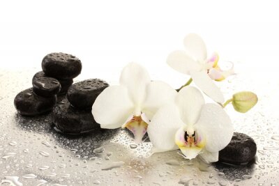 Papier peint  Orchidées, pierres SPA et gouttes d'eau