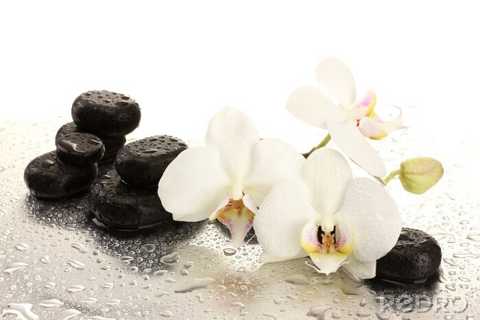 Papier peint  Orchidées, pierres SPA et gouttes d'eau