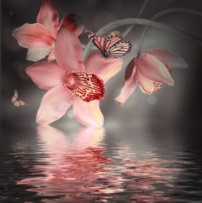 Papier peint  Orchidées roses et papillons pastel