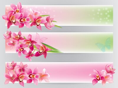 Papier peint  Orchidées sur des bandes horizontales