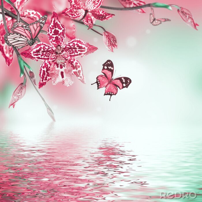 Papier peint  Orchidées tropicales et papillons roses