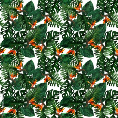 Papier peint  Original seamless tropical pattern with Strelitzia and leaves on white background. Seamless pattern with colorful leaves of colocasia, filodendron, monstera. Exotic wallpaper. Hawaiian style