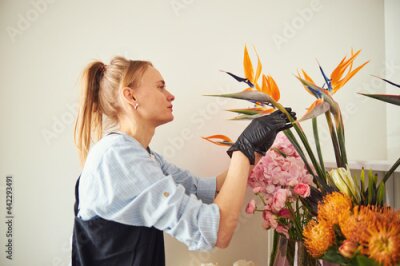Papier peint  oung woman looking at a gorgeous multi-colored Strelitzia reginae flowers