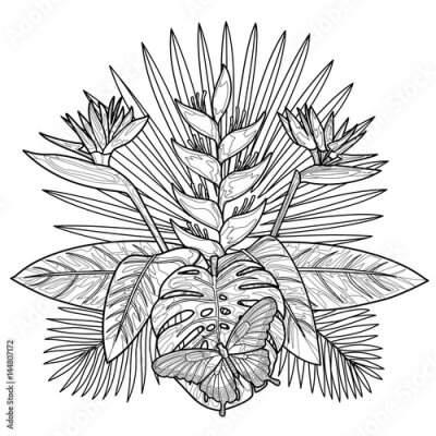 Papier peint  Page de coloriage du bouquet tropical