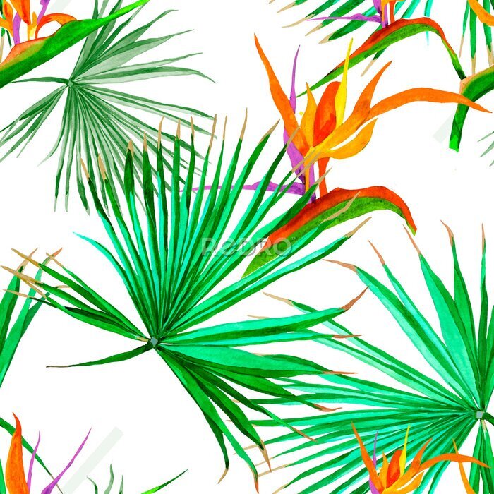 Papier peint  Palm leaves and strelitzia flowers watercolor on white background seamless pattern for all prints.