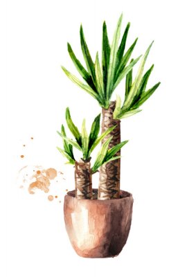 Palmier dans une illustration aquarelle de pot