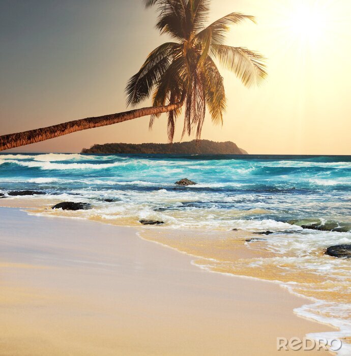 Papier peint  Palmier et mer dans un style rétro