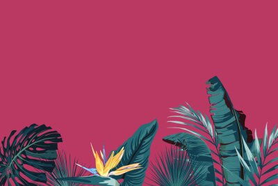 Papier peint  Palmier tropical, feuille de jungle, monstera et fleur de strelitzia. Cadre exotique de vecteur, éléments floraux isolés, bouquet hawaïen pour carte de voeux, mariage, papier peint, vente. Fond fuchsi