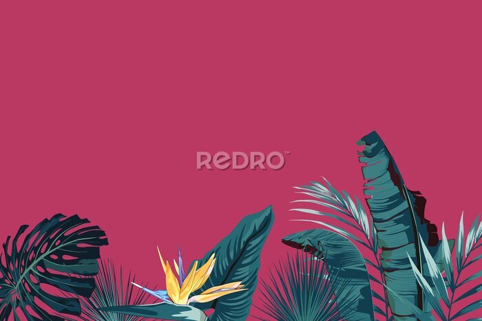 Papier peint  Palmier tropical, feuille de jungle, monstera et fleur de strelitzia. Cadre exotique de vecteur, éléments floraux isolés, bouquet hawaïen pour carte de voeux, mariage, papier peint, vente. Fond fuchsi