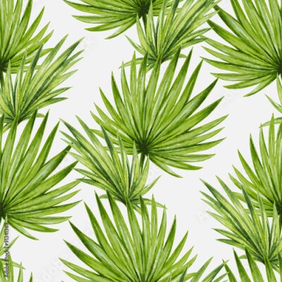 Papier peint  Palmier vert à feuilles rondes