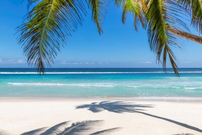 Palmiers sur une plage paradisiaque